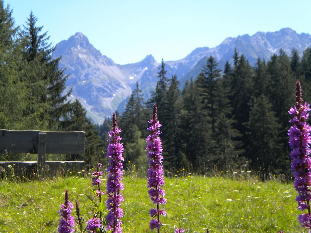 Hotel Garni Brigitte Bürserberg Oda fotoğraf