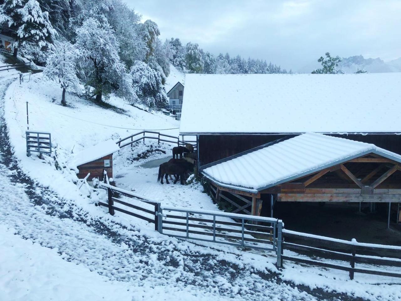 Hotel Garni Brigitte Bürserberg Dış mekan fotoğraf